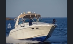 Sea Ray 310-kuva-12